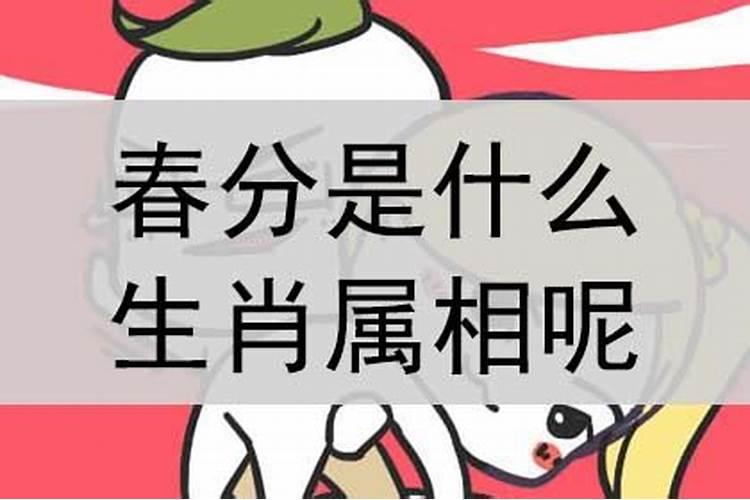 吞吐自如是什么生肖动物