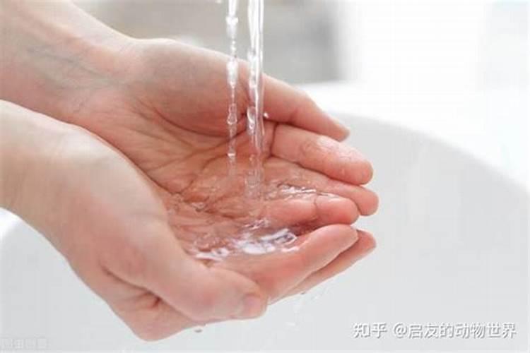 女人梦见清澈流动的水洗手