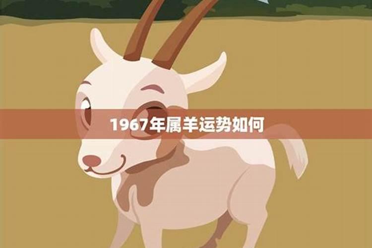 1967年属什么今年多大