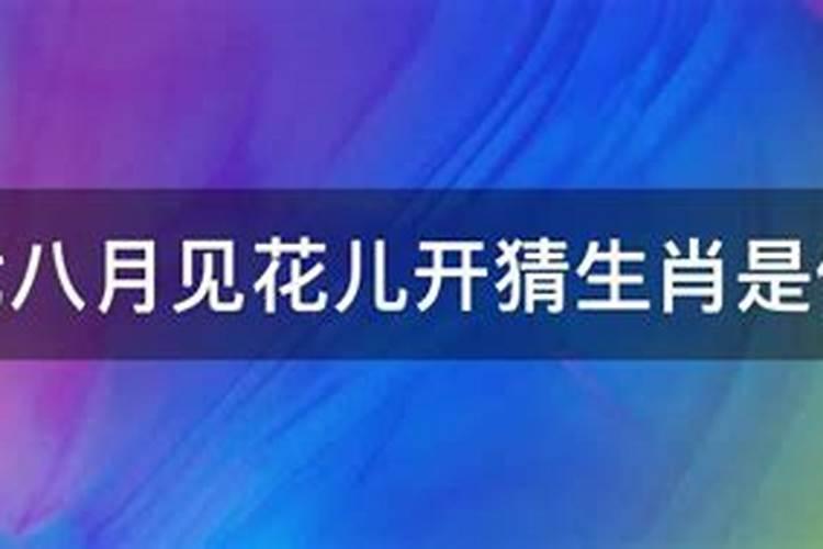 夜不能寐是什么意思打一生肖