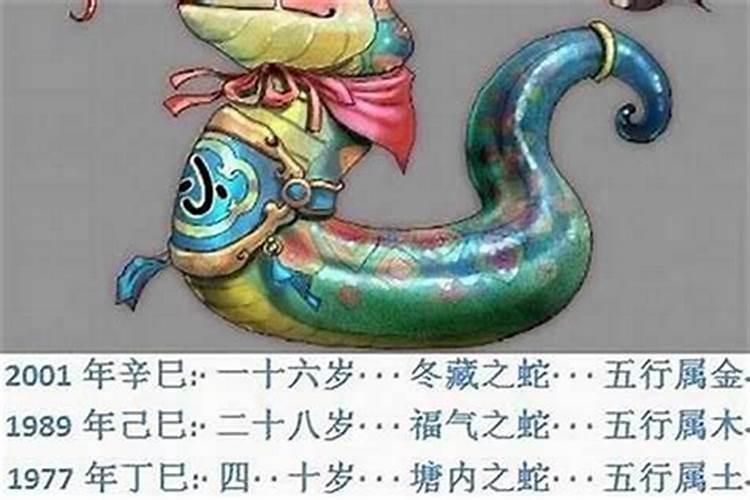 梦到狗,鸡