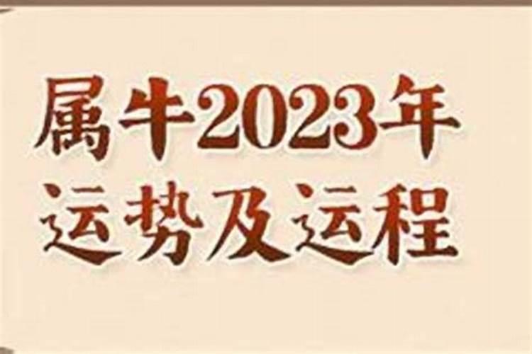 97年属牛人2022年运势