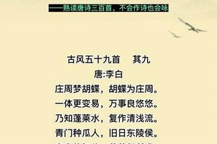 营营役役何所欲代表什么生肖