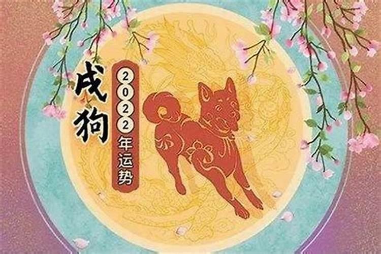 明年本命年属狗戴什么首饰