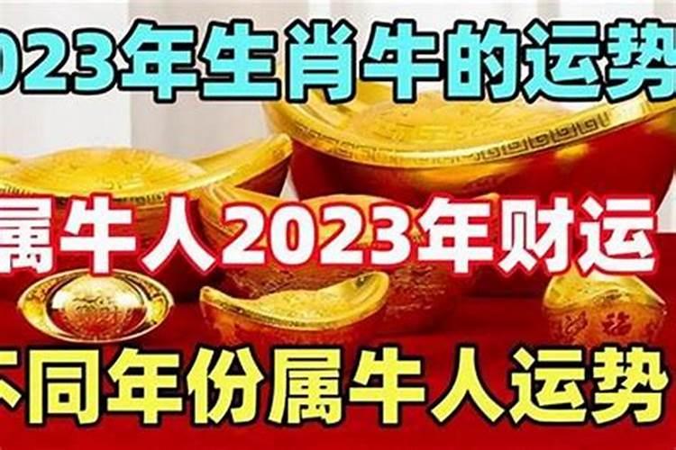 2021年本命年注意啥