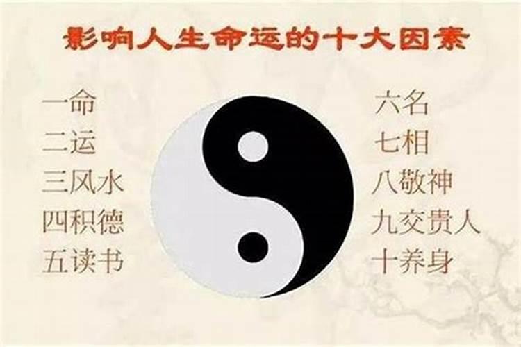 生肖蛇五行属什么