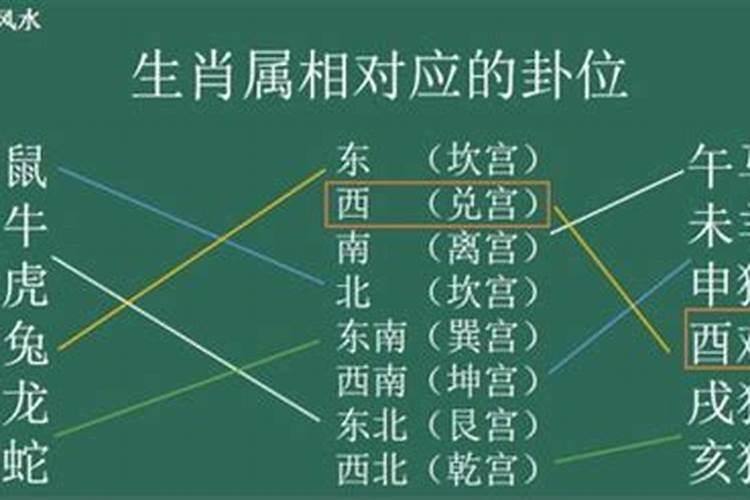 1950年属虎住几楼好