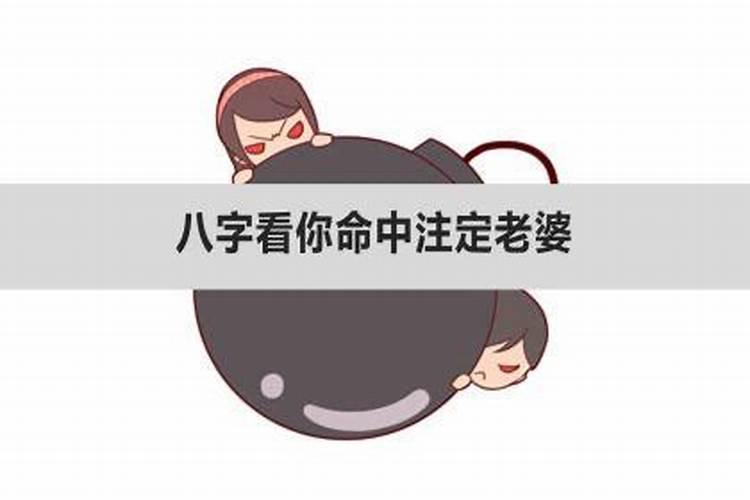 八字看命定的老公