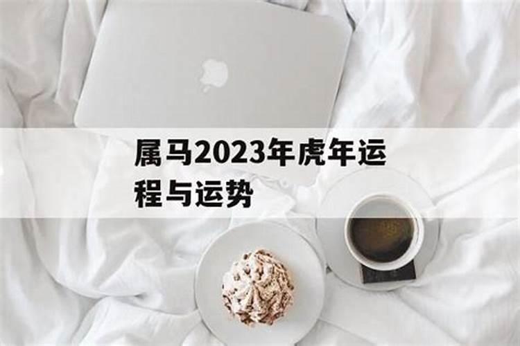 2023年虎年运程与运势如何看