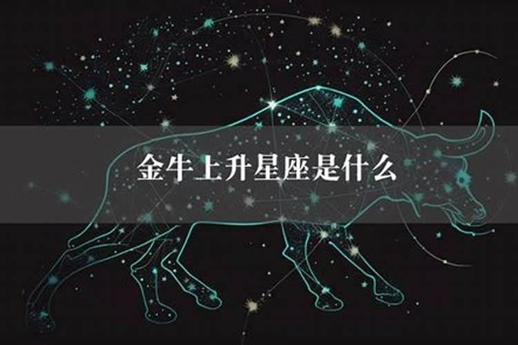 金牛上升星座是什么