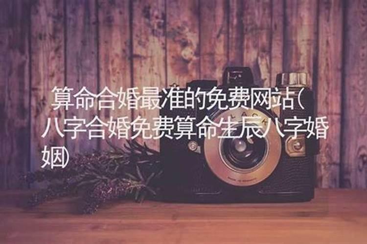 合婚算命最准的网站免费