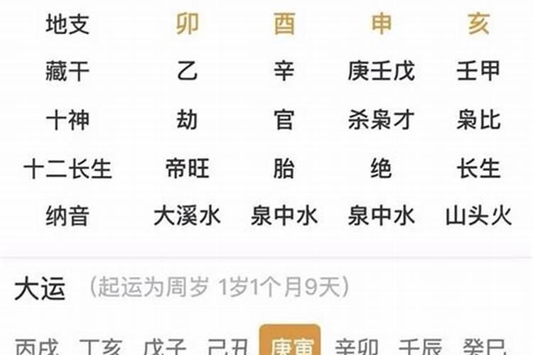 造坤乙亥乙酉壬午已卯是什么