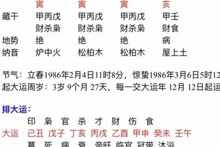 造坤乙亥乙酉壬午已卯是什么