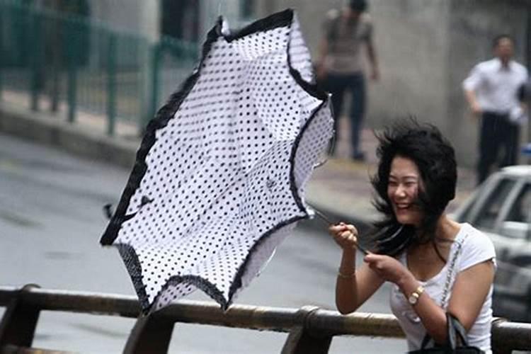 女人梦见刮大风特别大的风下雨