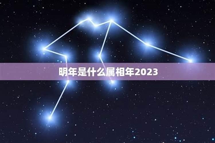 明年是什么属相年2024