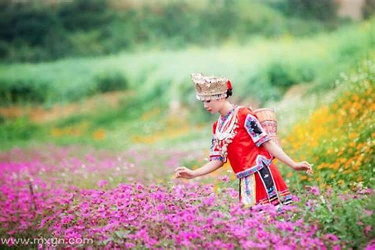 女人梦到采花代表什么预兆