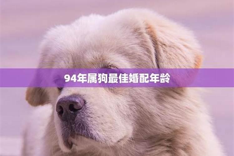 94属狗什么时候结婚合适