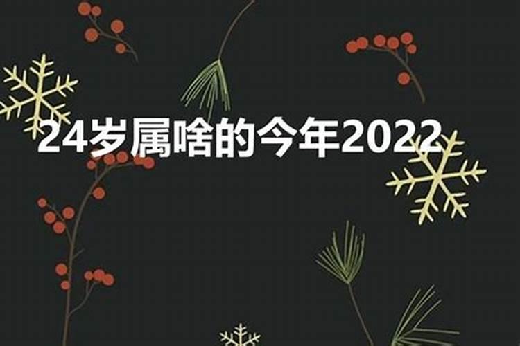 虚岁24岁属什么生肖2022