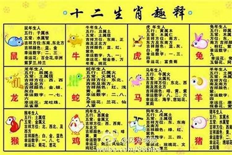 鼠字五行属什么