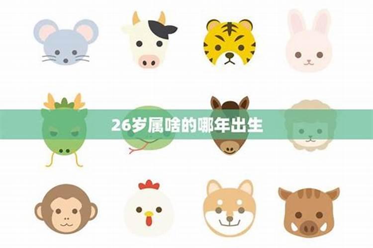 28属什么的28岁属啥的2023