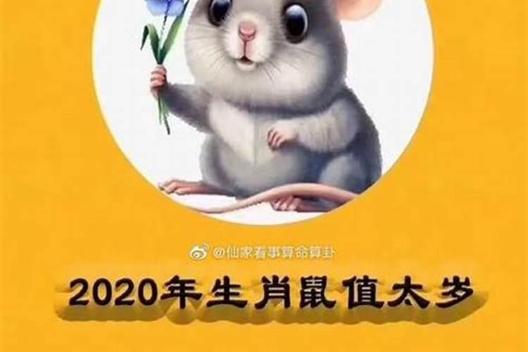 请问2032年属鼠的是什么命人