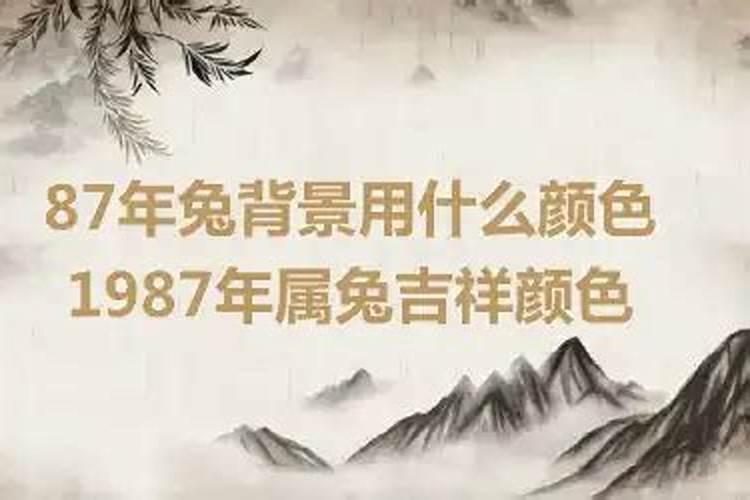 属兔适合什么颜色手机壳