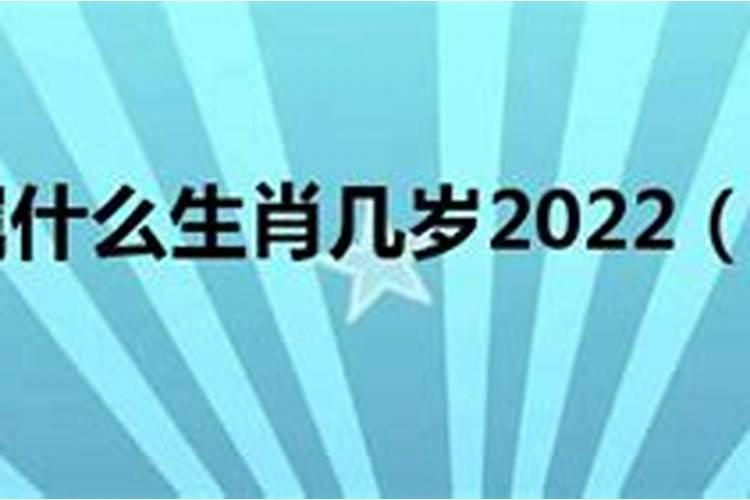 1986年属什么多大岁数