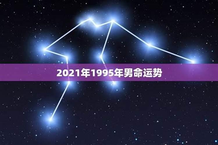 1995属猪男2022年全年运势