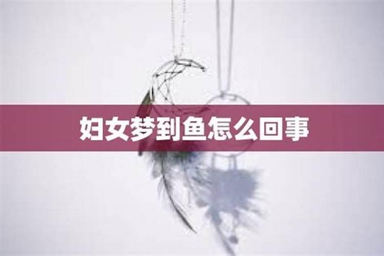 梦里梦到吃鱼是什么意思呀