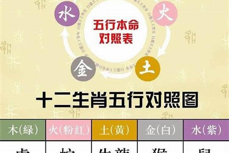 怎样看自己五行缺啥属性