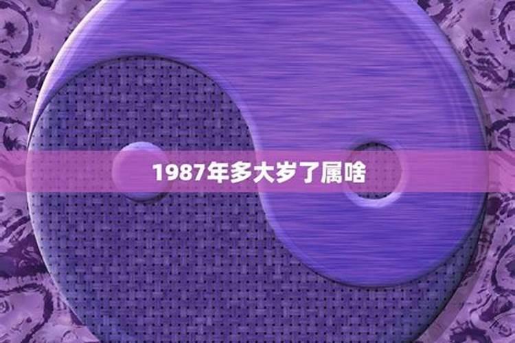 1987年属什么今年多大