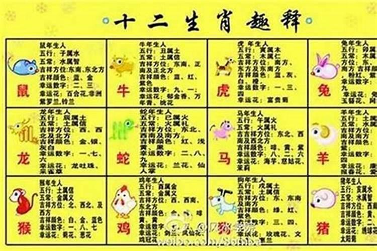 鼠字五行属性