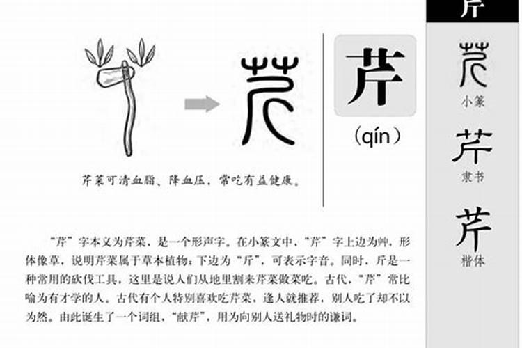 五行属甲木的汉字有哪些