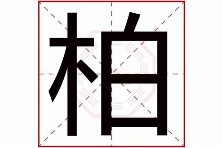 柏字五行属什么