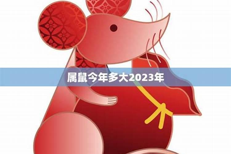 属鼠今年多大年纪2021