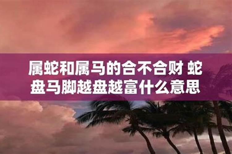 属蛇和属马的姻缘怎样