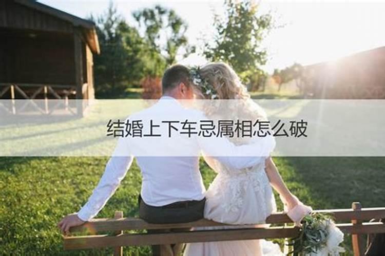 结婚当天忌属相