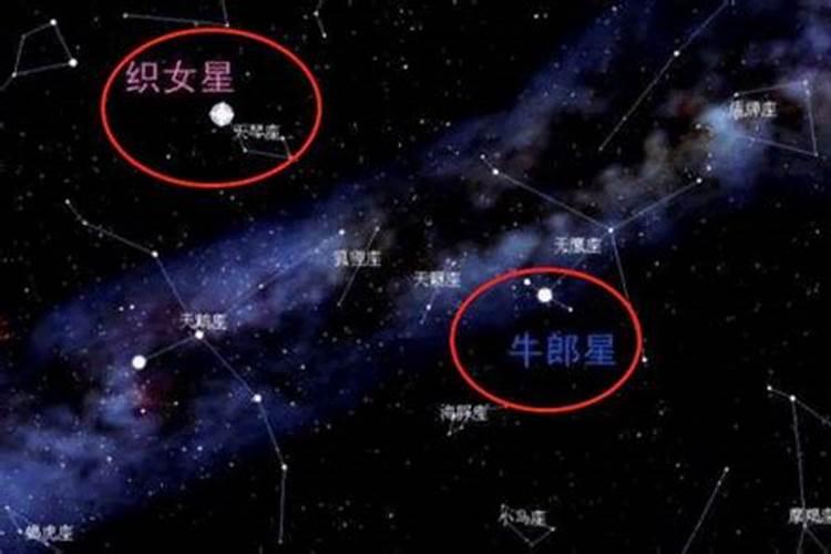 牛郎星位于哪个星座