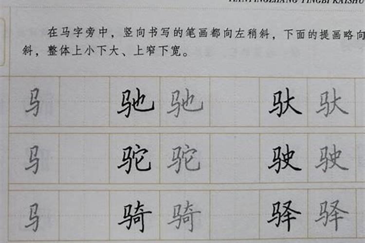 哪些事物名称中带马字旁