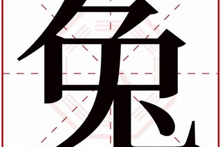 兔字五行属