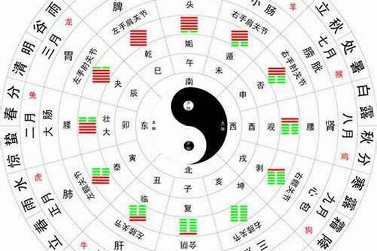 辰这个字的五行属什么