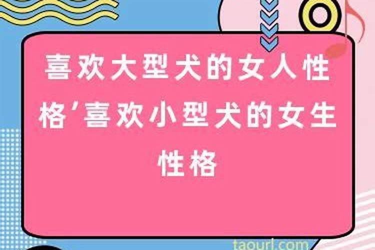 属狗喜欢什么类型女孩性格