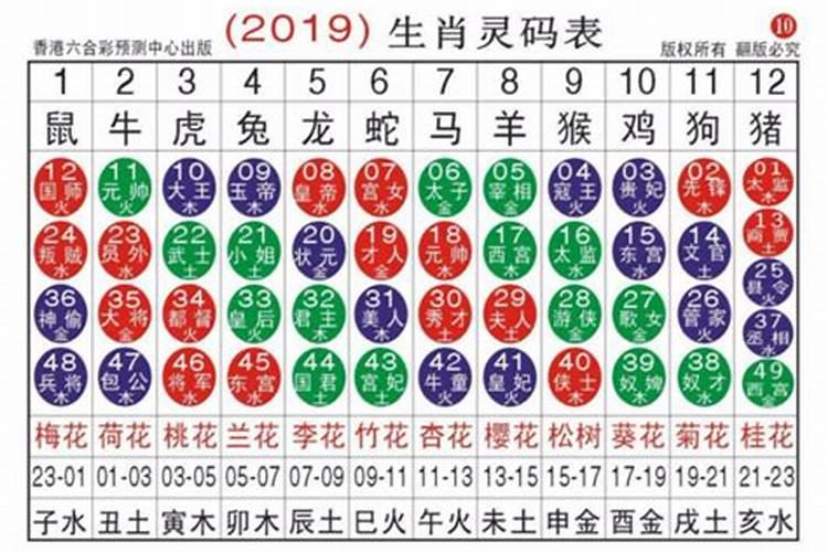 15岁是什么生肖码