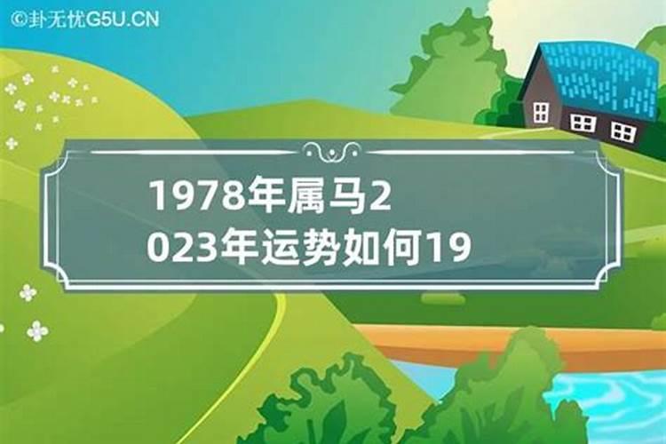 2023年1978年的马45岁后的财运