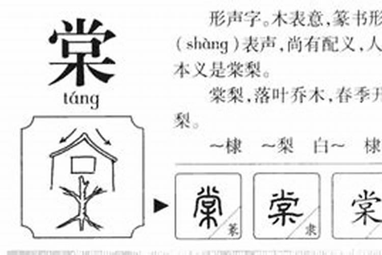 棠字五行属什么