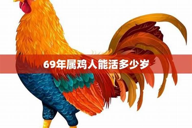 69年属鸡女晚年福气好不好