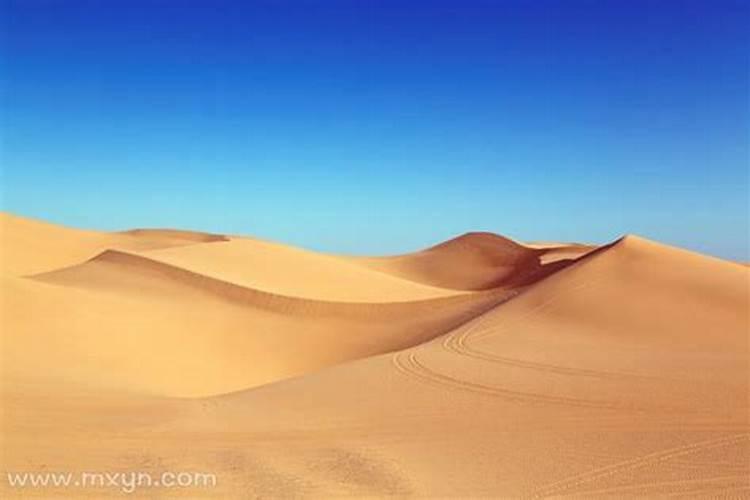 梦到去沙漠旅行是什么预兆