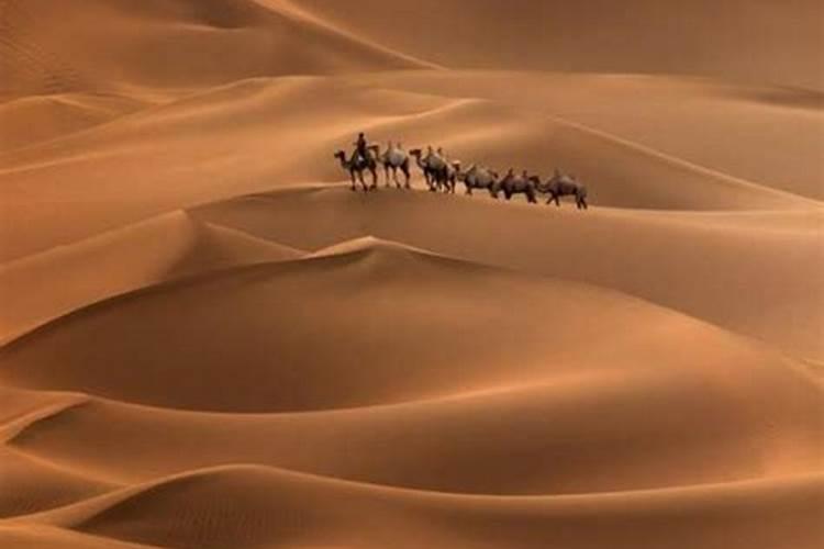 梦见在沙漠走路什么意思周公解梦