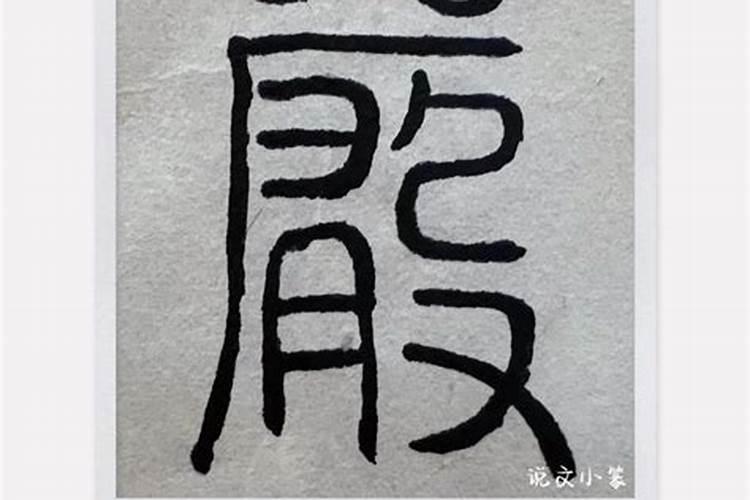 奕的五行属什么名字