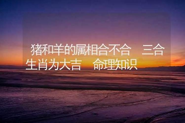 属相不合命合可以结婚吗